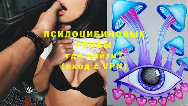 марки nbome Белокуриха