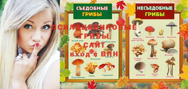 марки nbome Белокуриха